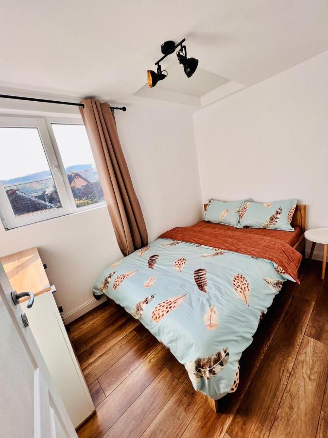 Master Adventure Guest House Vadu Crisului Ngoại thất bức ảnh